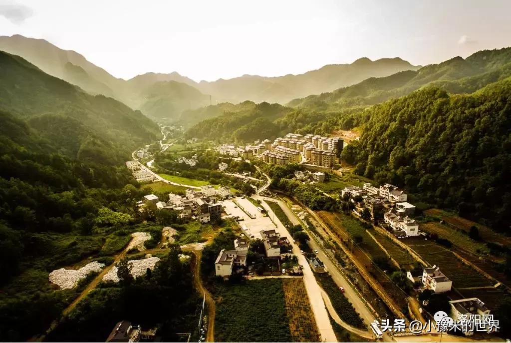 向洛阳人发出邀请国潮盛宴来袭,洛阳发布通知