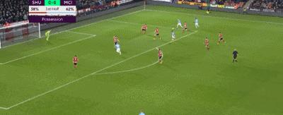 不会飞翔的荷兰人博格坎普,博格坎普为什么叫不会飞的荷兰人