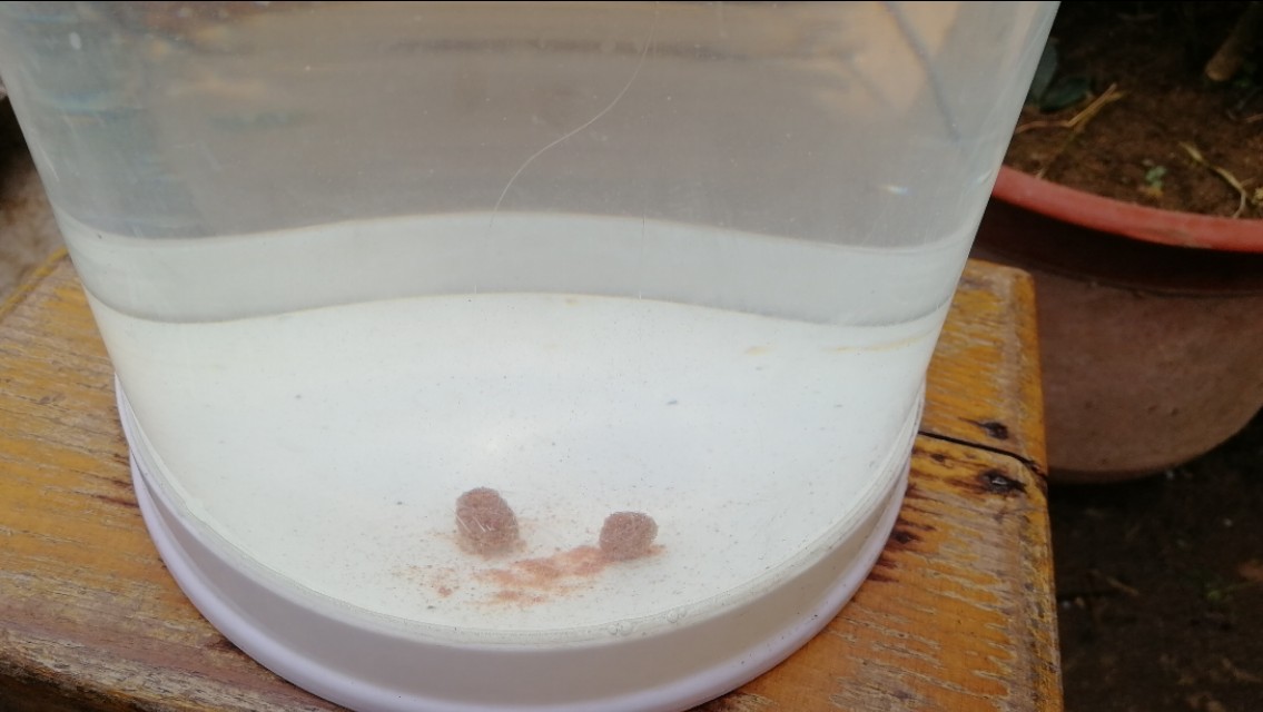 调漂不正确有什么影响,饵料轻压不下浮漂目数怎么办