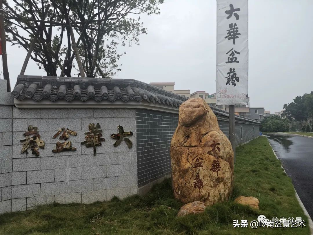 绿色金融业务发展好的银行,绿色银行的前景