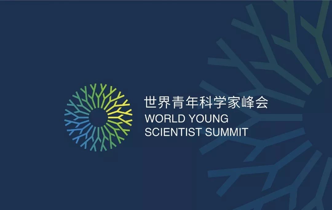 创意品牌vi设计价位,创意品牌vi设计图