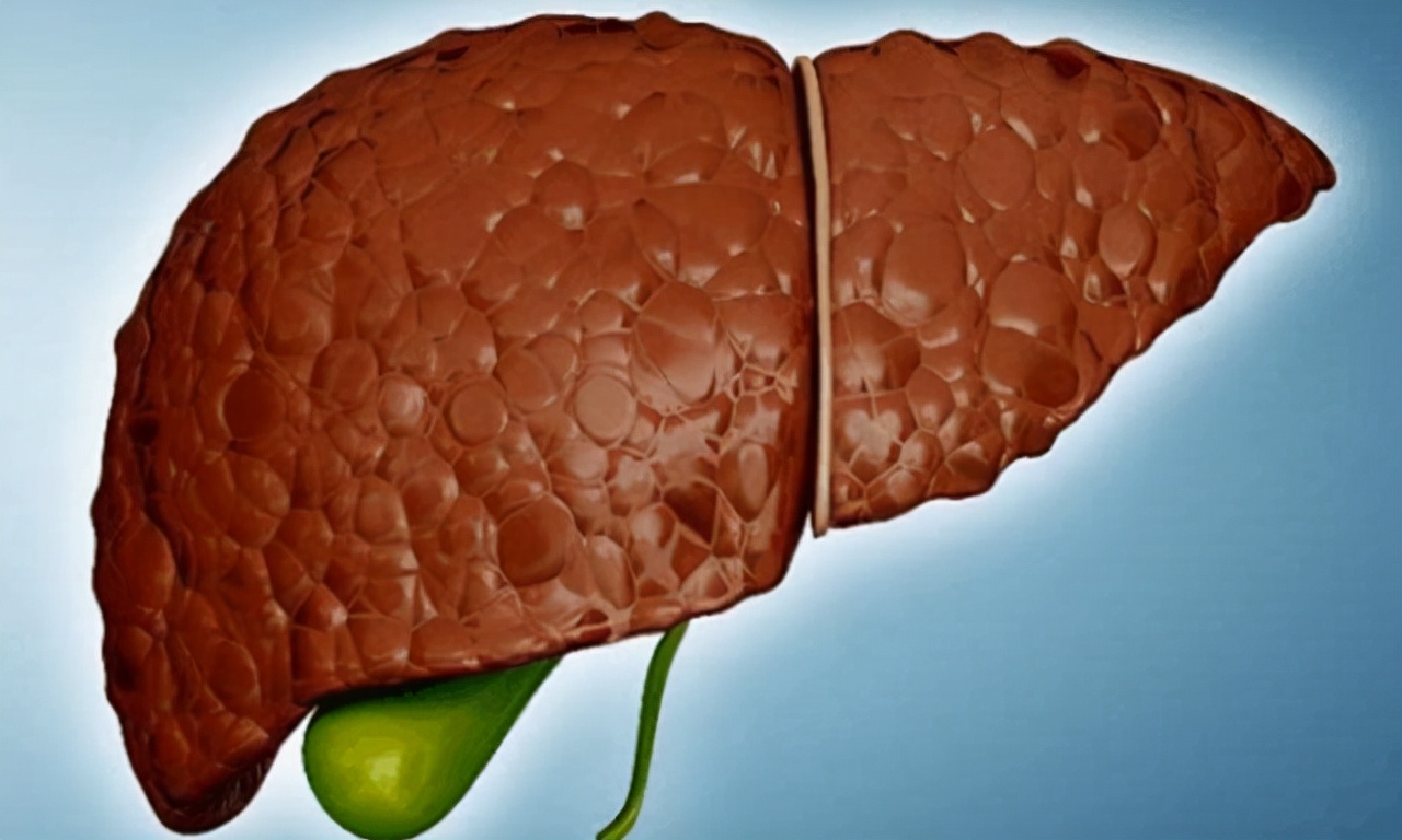 肝脏之父吴孟超视频,肝脏问题教你一招在家轻松养肝