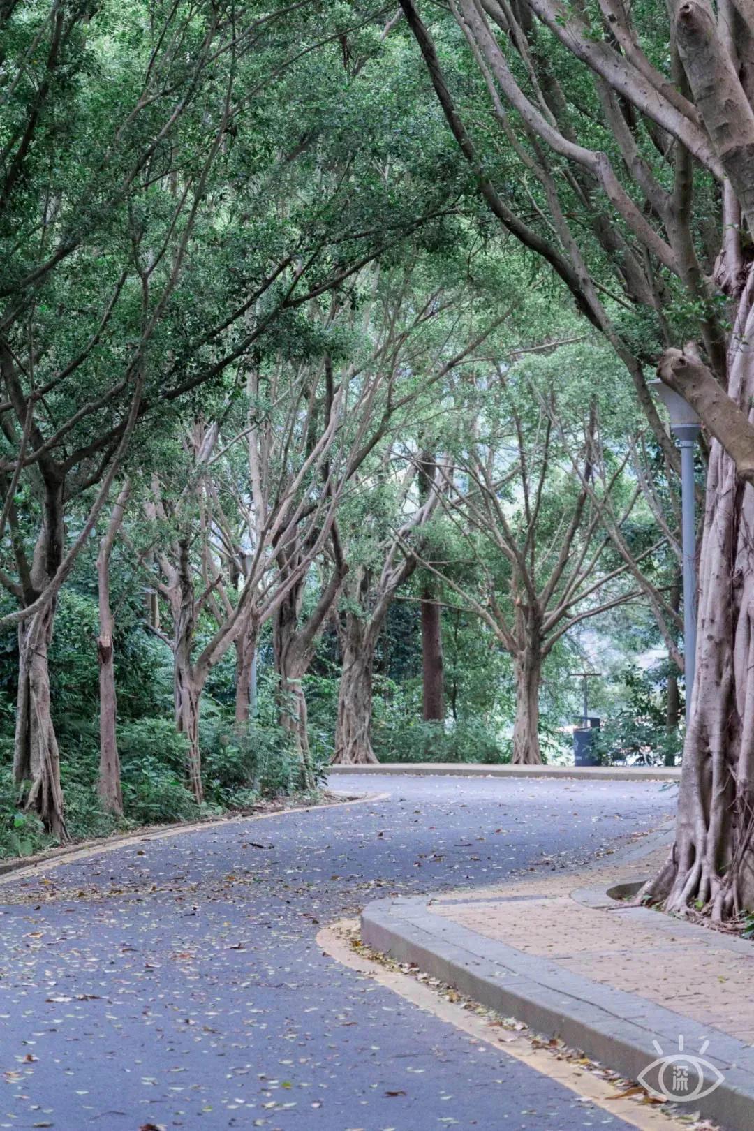 4号线值得逛的地方,9号线有什么地方可以玩