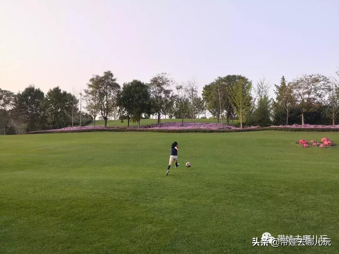 北京最有度假感的酒店，就在金海湖