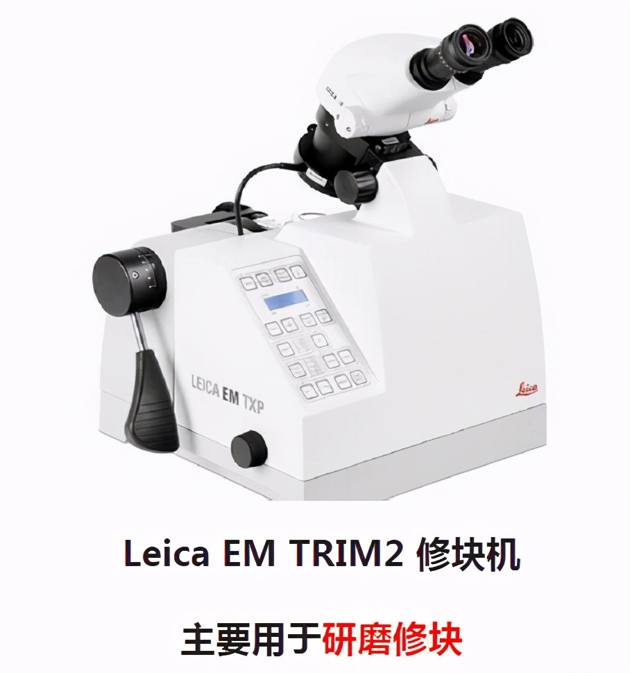 超薄切片教程,超薄切片制作