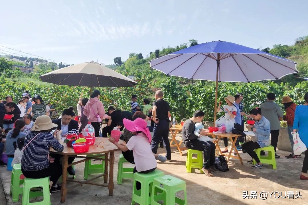 成都市恩桃儿,恩桃成都