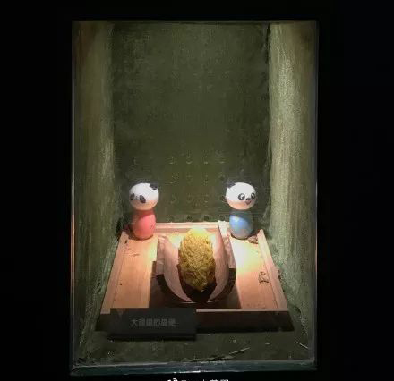 便便有一股酸味是怎么回事,便便有股中药味