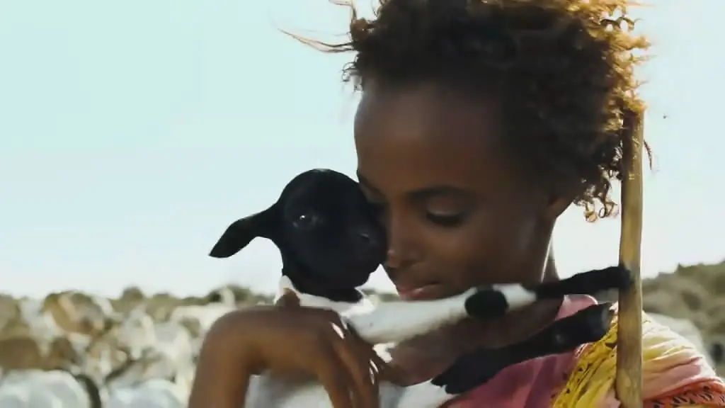 改变国家的电影,改变国家法治的电影