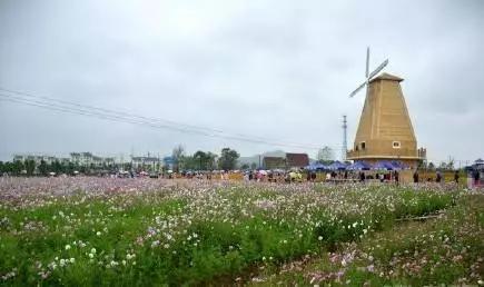 风光无限好，览尽于汤池