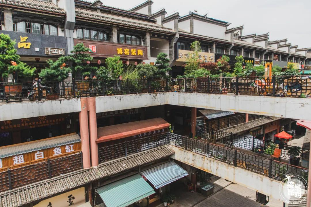 逛花卉市场赏心悦目,逛花鸟市场的快乐