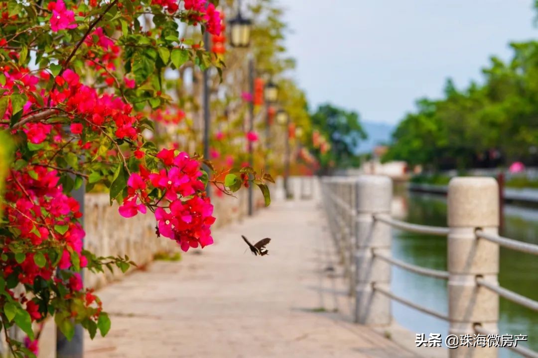 斗门地铁3号线最新规划,珠海斗门地铁3号线