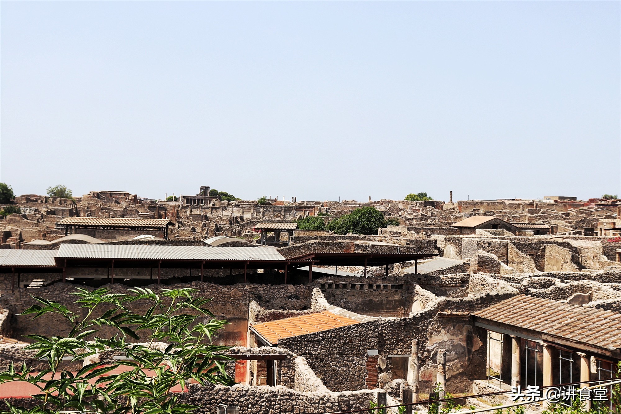 全球最好的披萨在哪里,全世界最好披萨