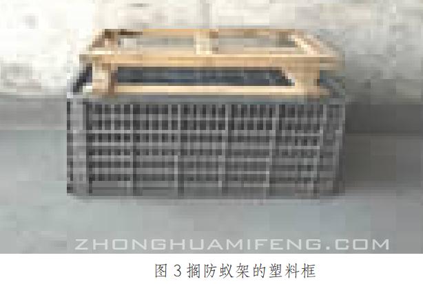 防治蚂蚁最好的办法,防治蚂蚁最好的方法