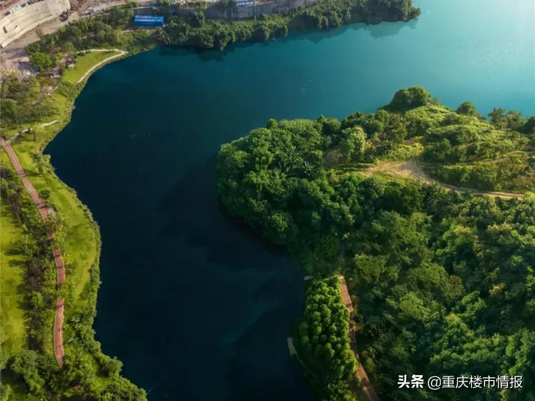 29盘去化率最好的楼盘,解盘2022