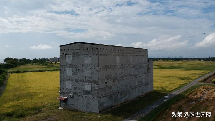 了不起的新农人|给金丝燕打造一个五星级的家,专访老燕行廖文烽