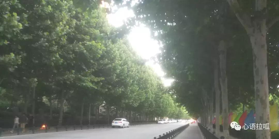 漫步在淄博,漫步淄博街头