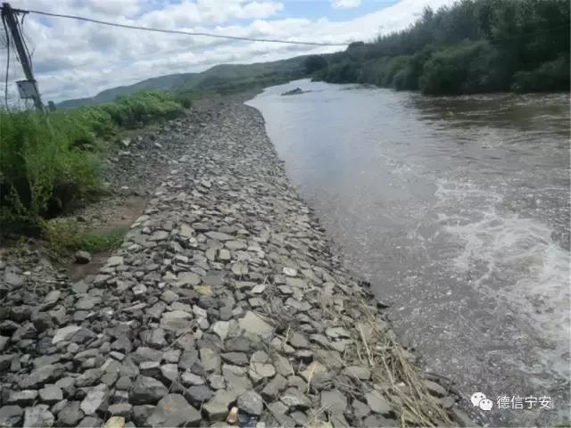 农业农村部、财政部公布！宁安成为首批20个国家现代农业产业园之一