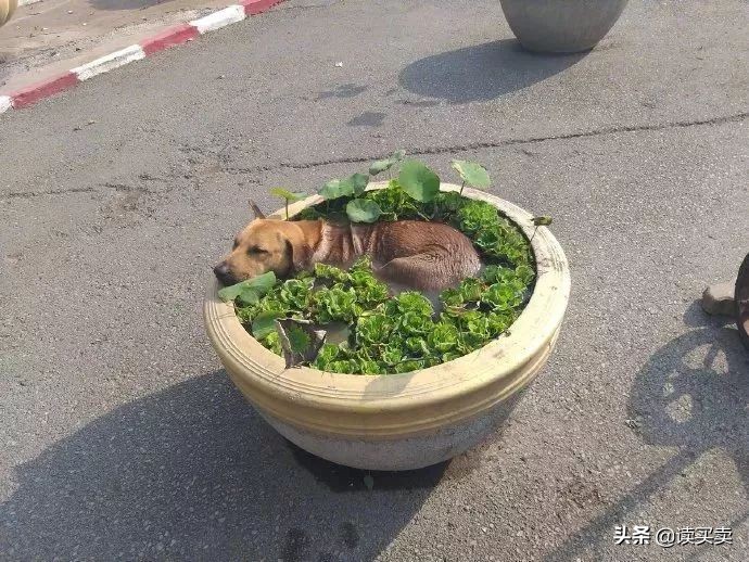 怎么判断男生直不直男,如何判断一个男生直不直