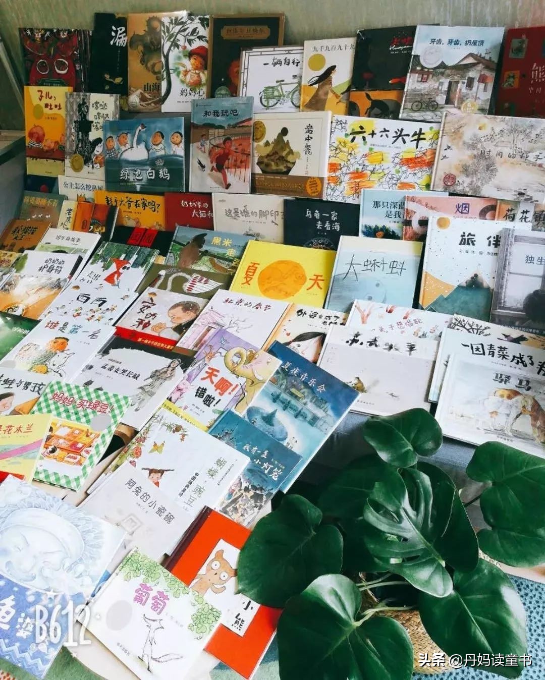 真心话，不看这篇，你可能会买错很多书（下）