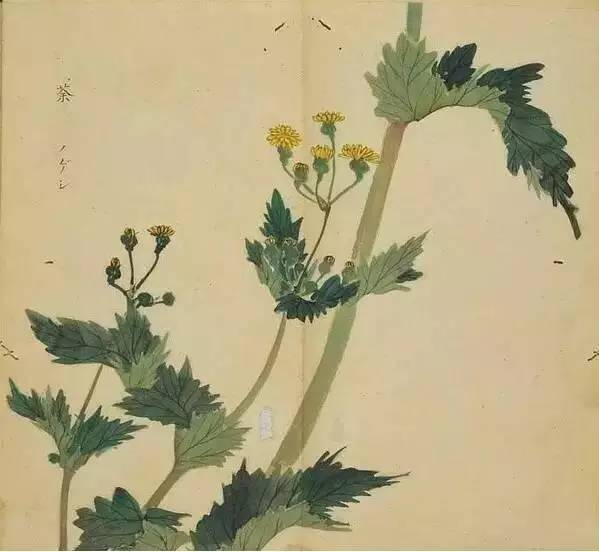 惊艳千年的古诗词合集,五千年来最美的20首诗