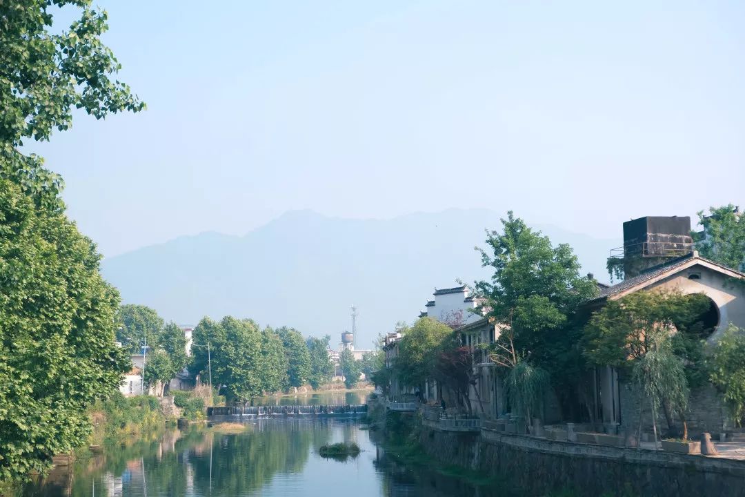 秋日河畔画中小镇，隐于茶园流水，山水间三店新开旅居吃茶慢生活