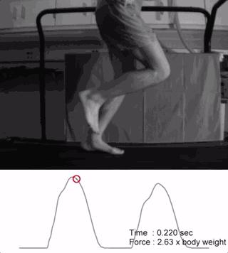 训练跑步鞋应该怎么选,刚入门跑步如何选择跑鞋