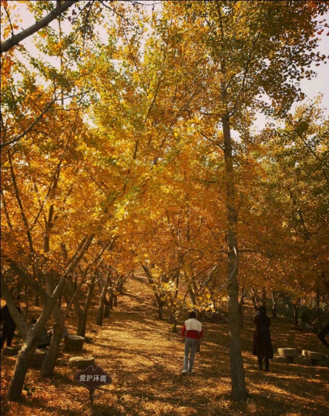 行走在路上寻找诗和远方,行走中有诗和远方