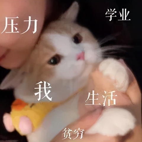 甲减病人减肥最有效的方法,得了甲减不容易减肥吗