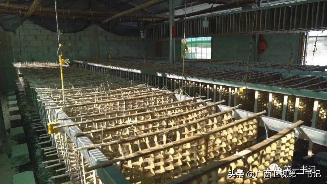 娉楁按鑴辫传鏀诲潥,娴庡畞娉楁按鎵惰传