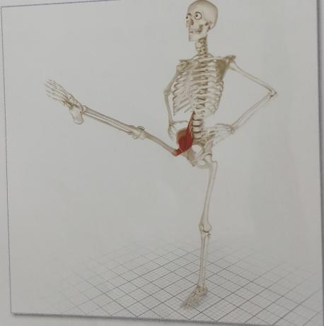 不懂拉伸就不懂健身,拉伸髂腰肌的正确要领