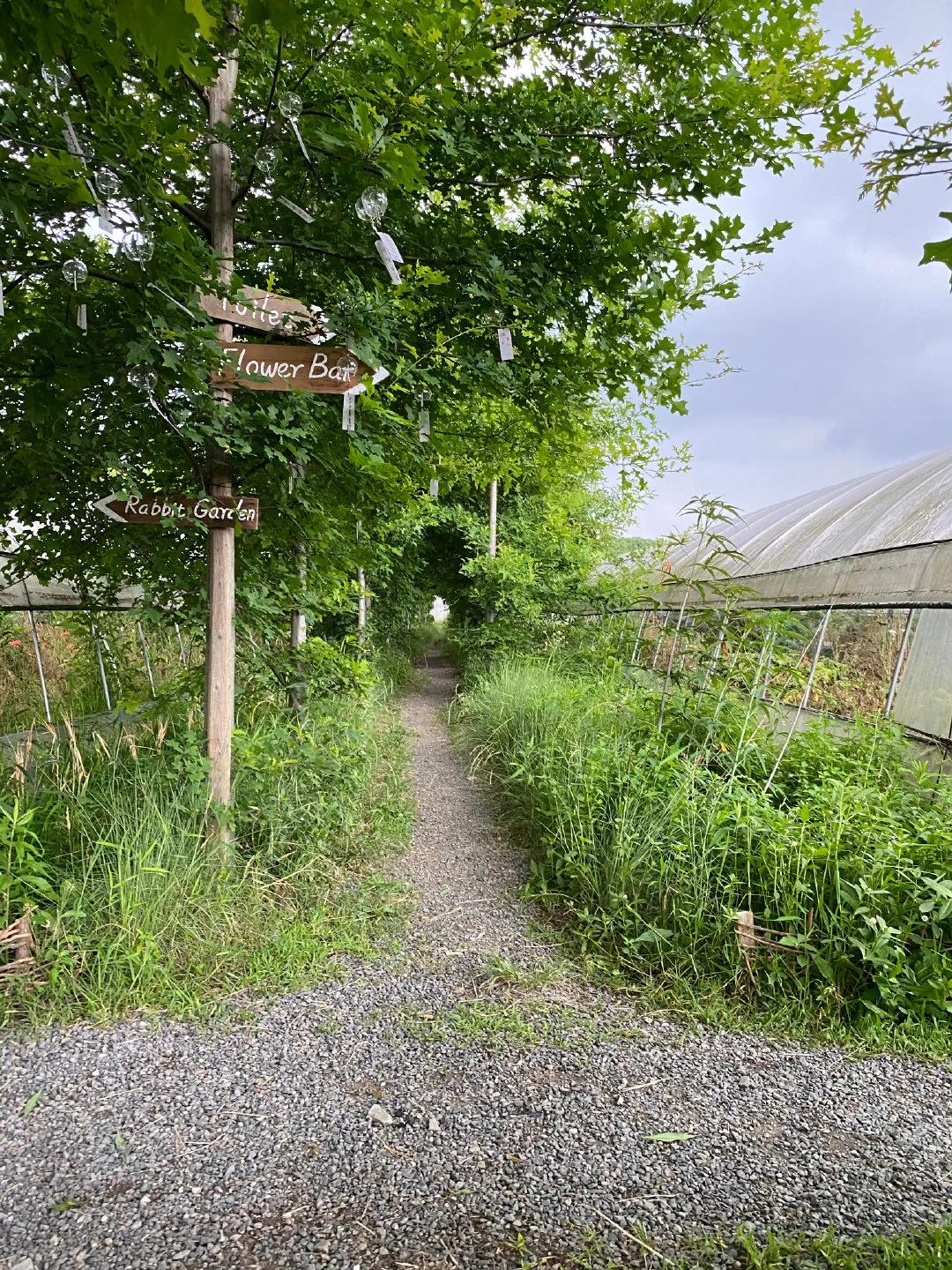 最会说情话的人全集,最会说情话的人