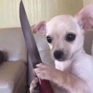 表情包你能亲亲我嘛,表情包你能拿我怎么办