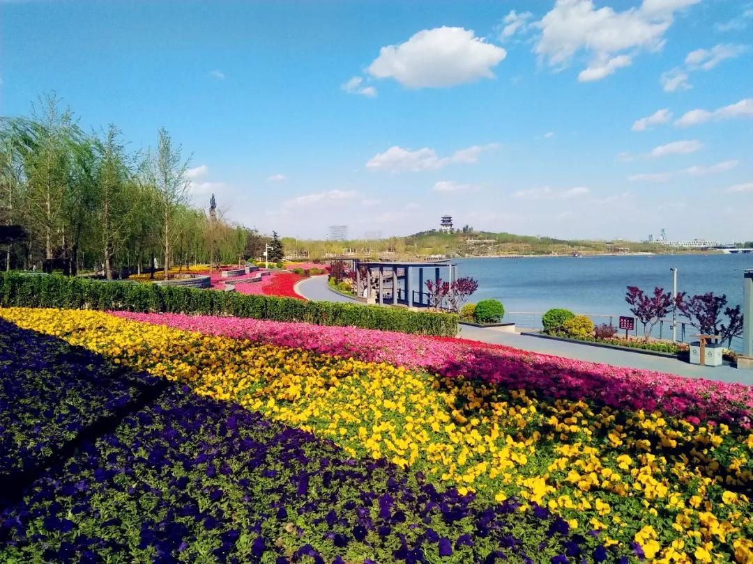 唐山南湖区发展规划,关于唐山南湖绿色生态的介绍