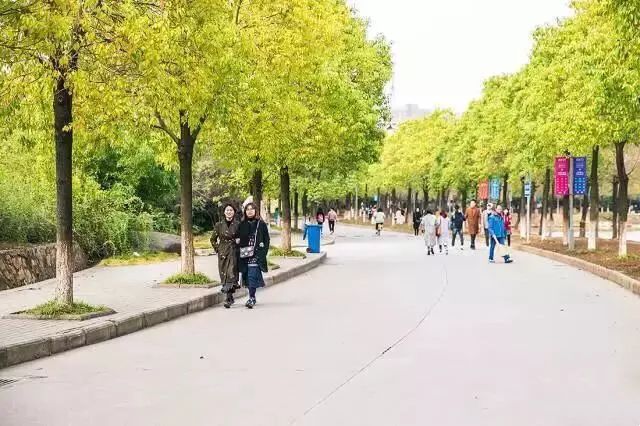 自从藏龙岛有了南延线，我就再没羡慕过别人家的学校！