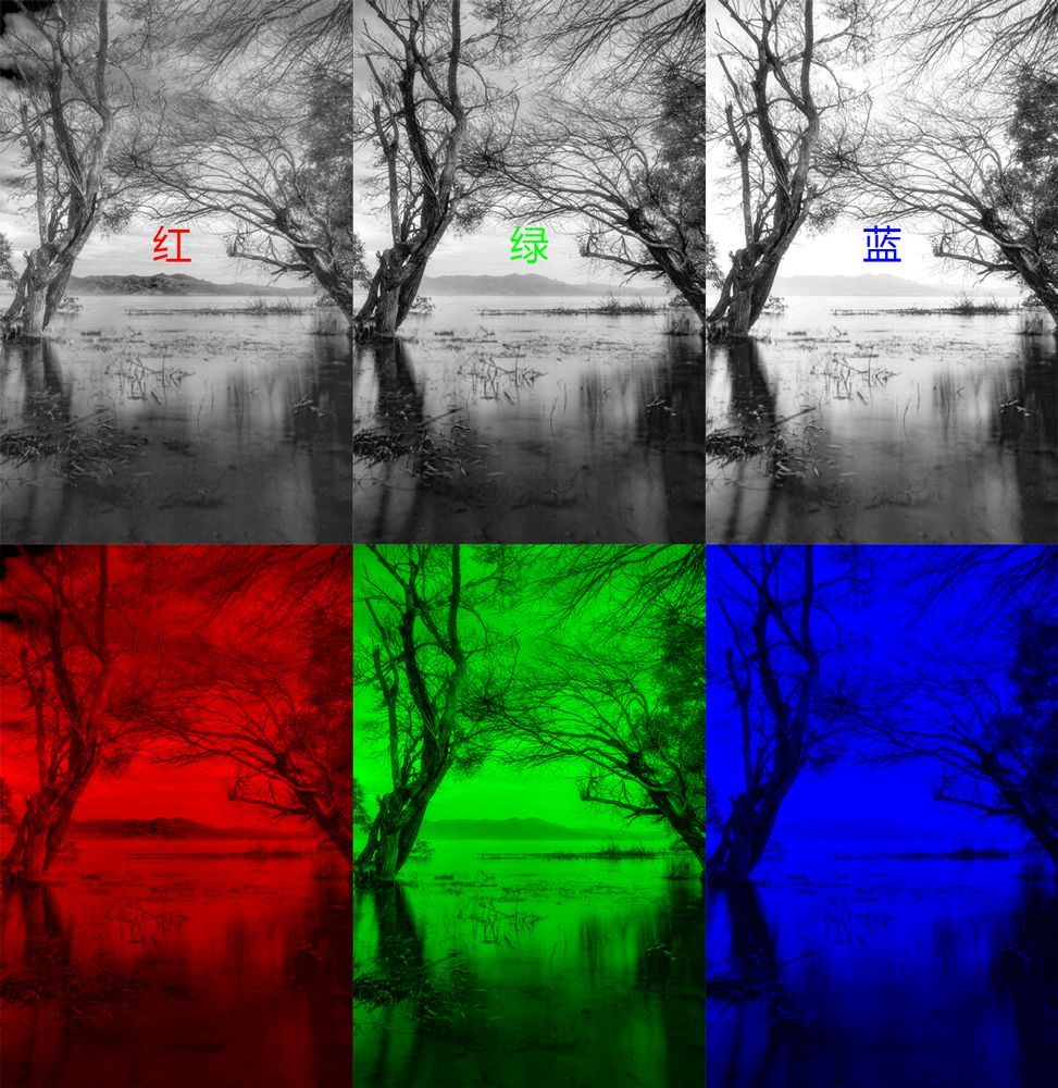 曲线要怎么记容易学得快,曲线难学吗