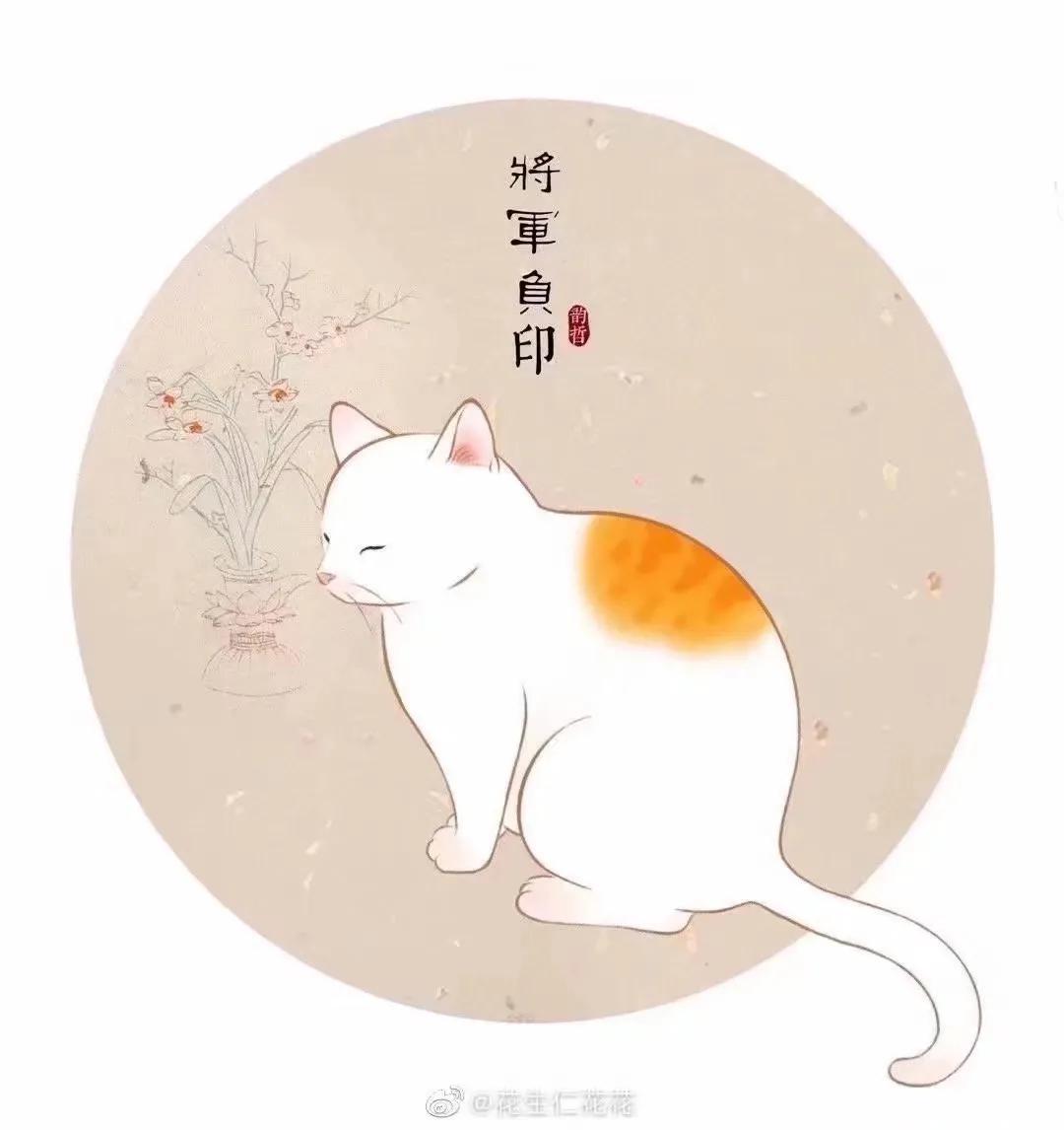 古代常见的猫有哪些种类,古代的猫是怎么生存的