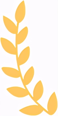 光遇奖项和荣誉,光遇荣获大奖