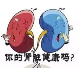 预防尿毒症保护好肾脏谨记4件事,预防肾病警惕这4个信号