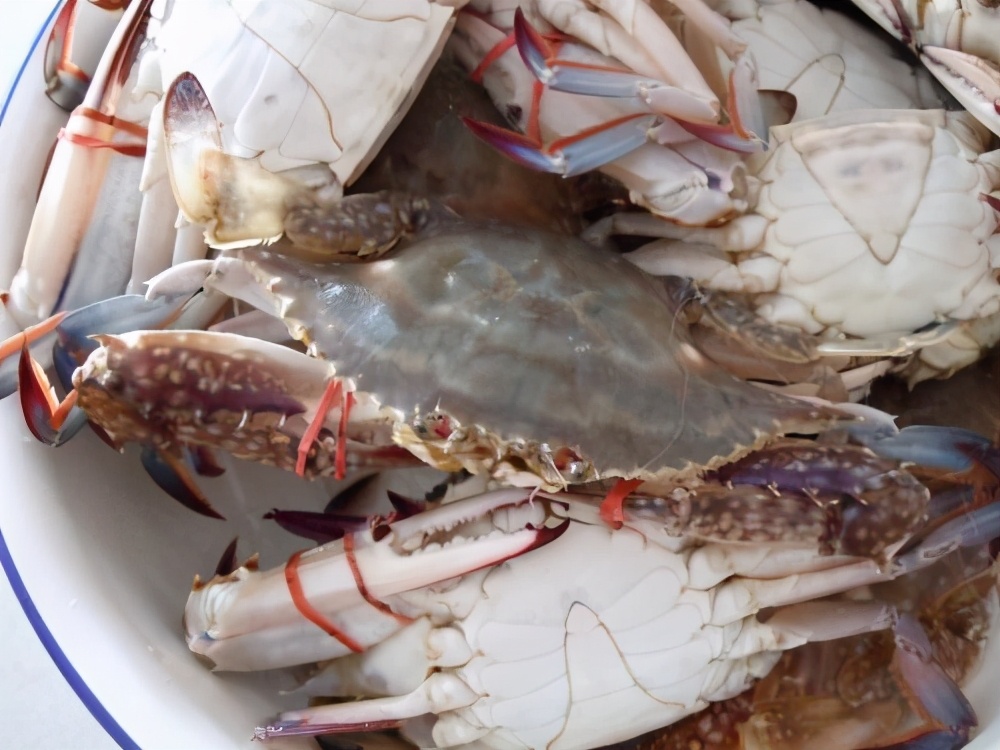 第一次吃梭子蟹,梭子蟹怎么弄着吃才好吃