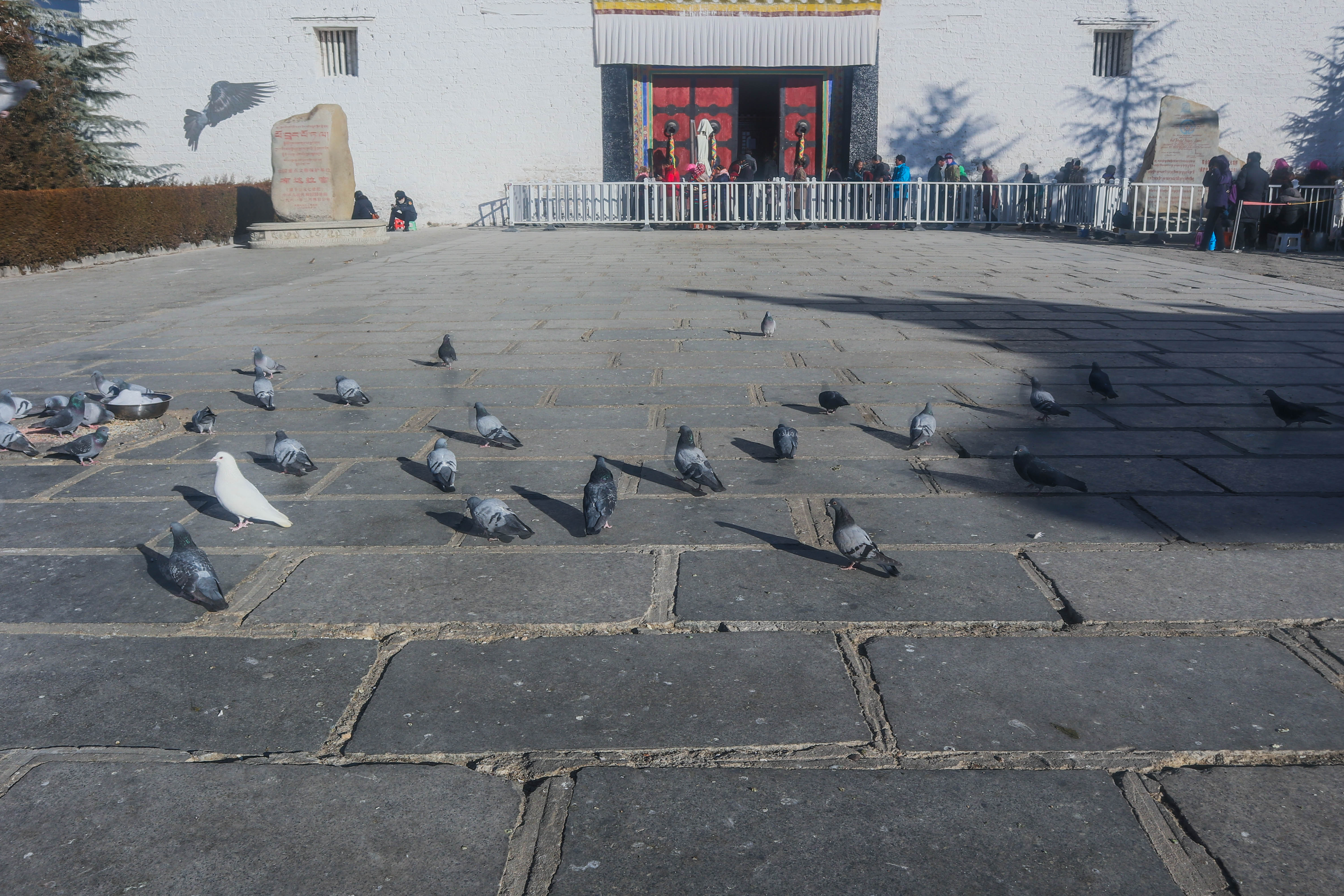 布达拉宫为何“经久不衰”？你知道它是如何修建的吗？