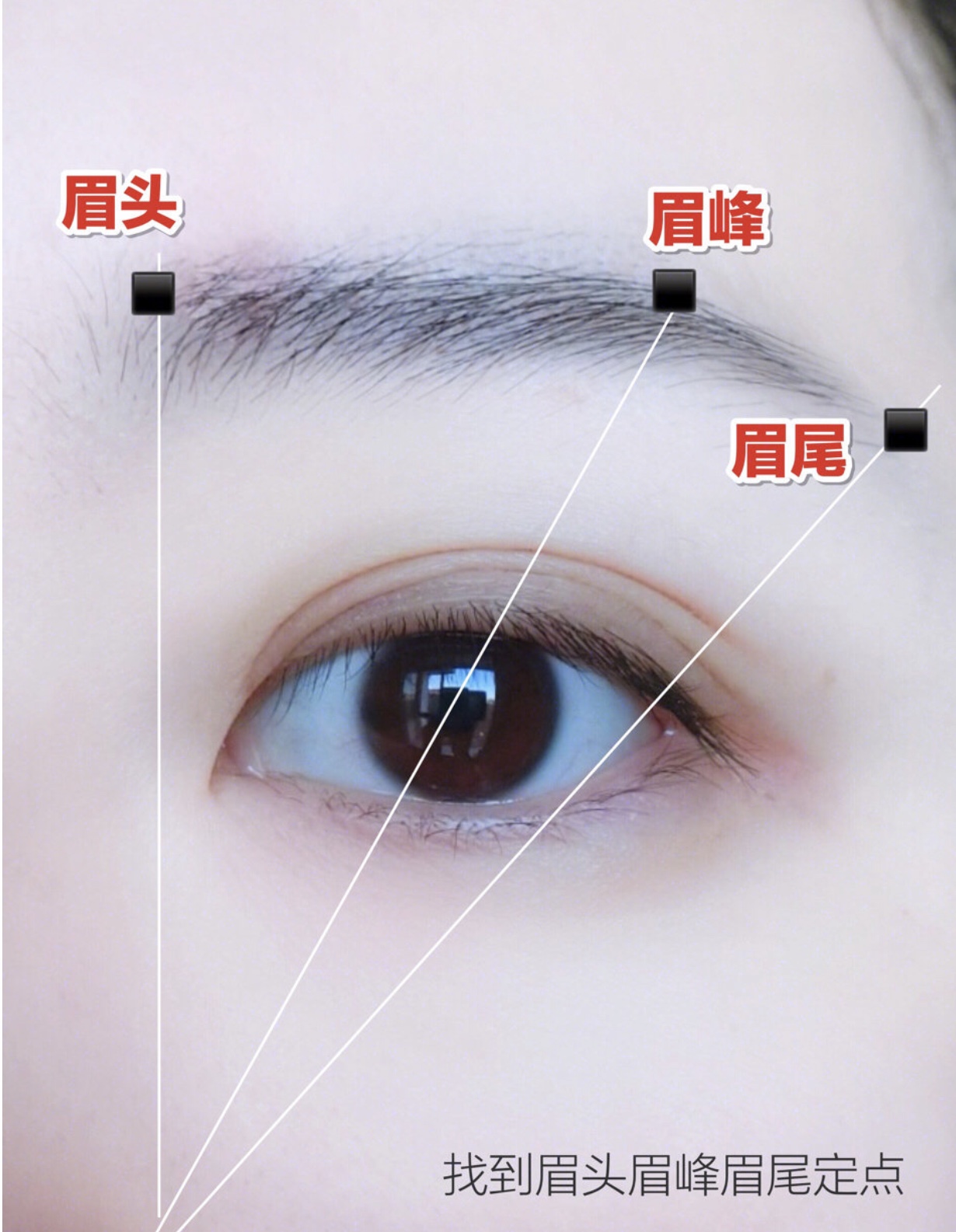 染眉膏新手,染眉膏的正确使用方法野生眉