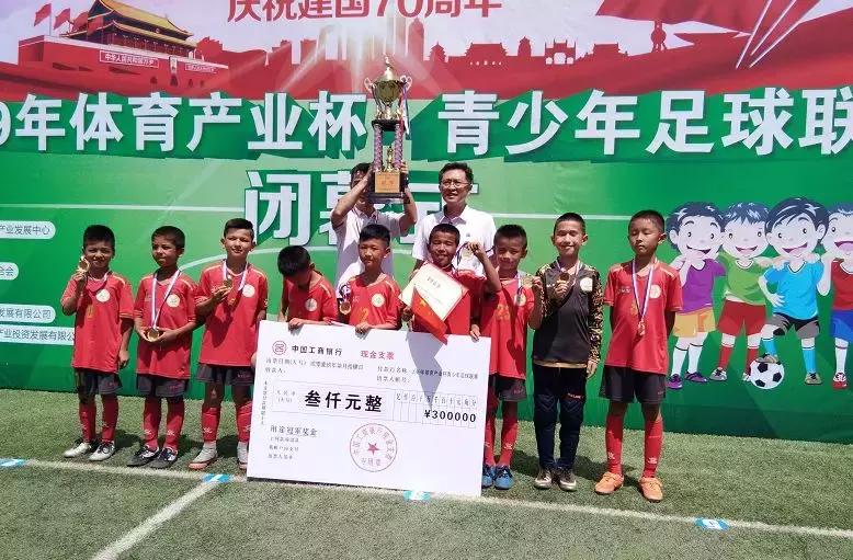 第三届中国青少年足球联赛晋级,第二届中国青少年足球联赛赛程