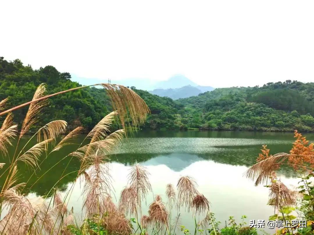梦里是江南水乡，没曾想，却恋上罗田这个村