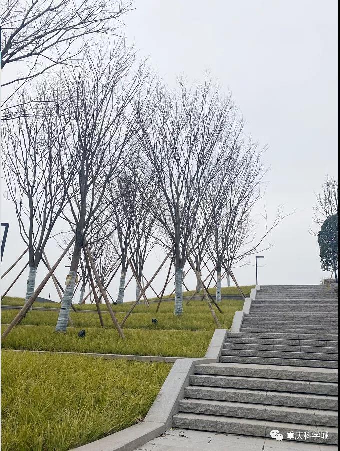 大型绿地公园,25万平方人工湖