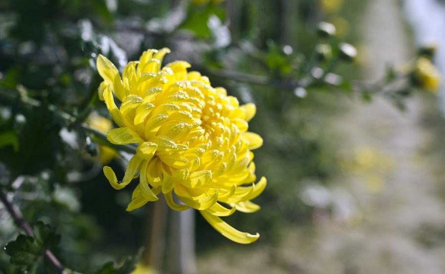 脸上爱出油怎么调理最有效,脸上一直出油怎么控油