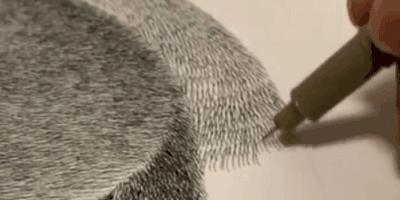 他用一支5块钱的针管笔“撸猫”，17万网友直呼：这猫要活了