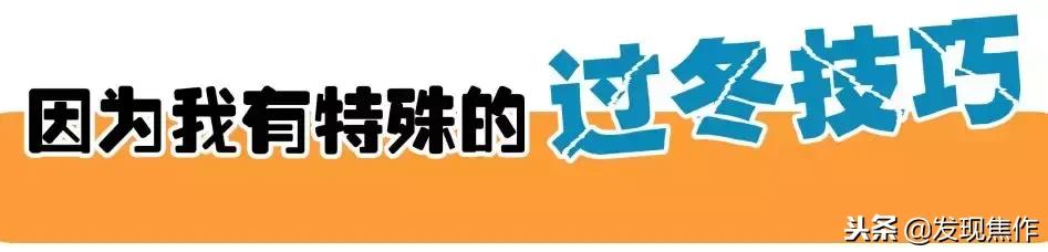 焦作汤乐宫汗蒸馆,焦作汤乐宫温泉