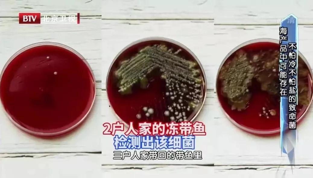 冰箱有异味可能是细菌爆满,冰箱冷藏食物过久会滋生哪些细菌