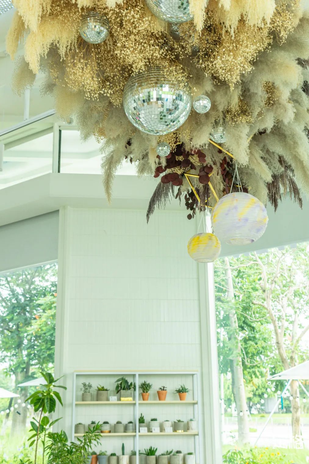 沙井万丰哪里的生蚝好吃,深圳沙井生蚝最出名店