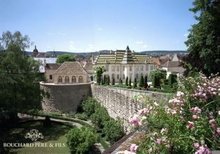 法国拉菲高档酒,法国拉菲酒庄